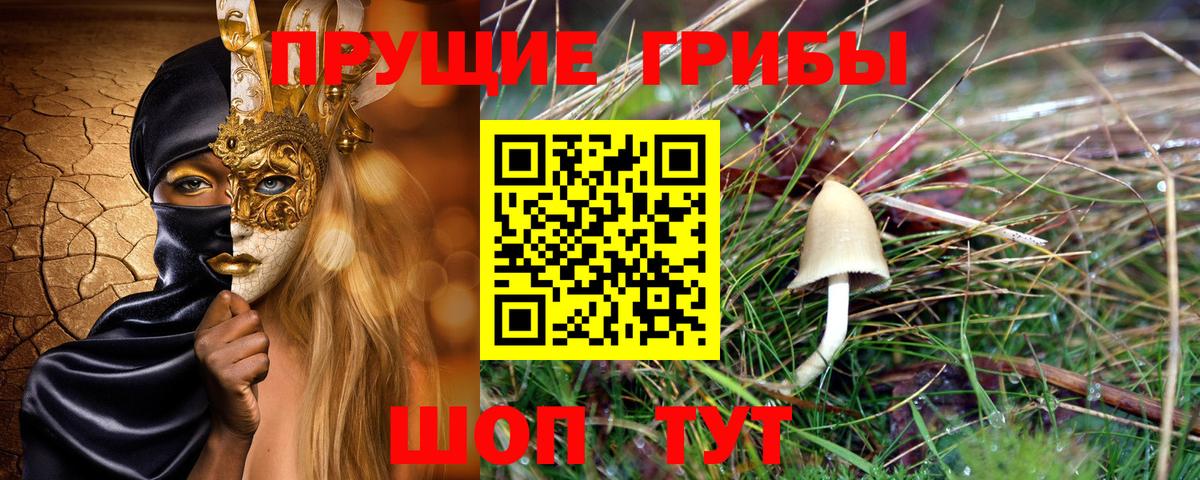 Кингисепп  купить наркотик  Вход с VPN  Псилоцибиновые грибы GOLDEN TEACHER 
